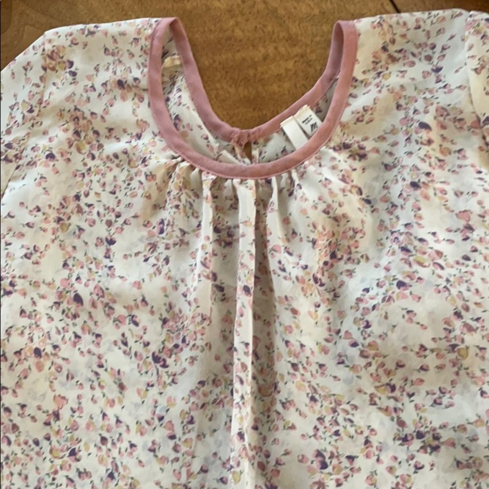 Sheer Floral Blouse